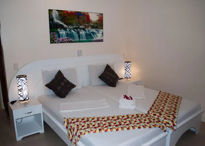 Quo Vadis Dive 3*