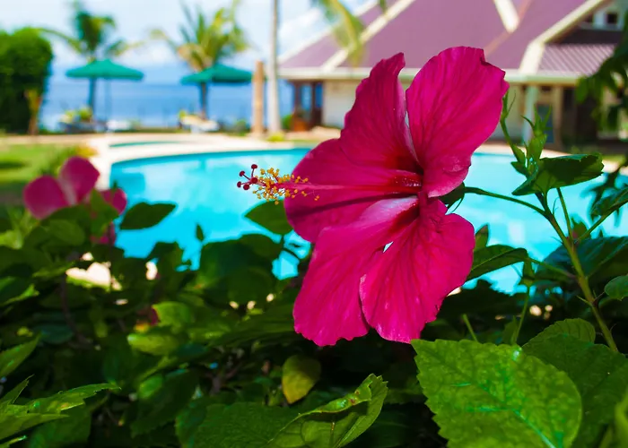 Resort Quo Vadis Dive Moalboal