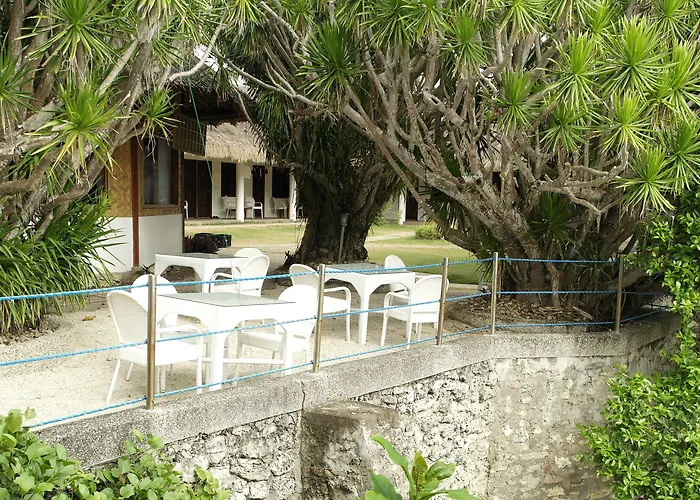 Quo Vadis Dive 3*